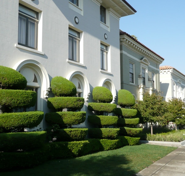 Service Image