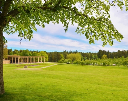 LAWN MAINTENANCE